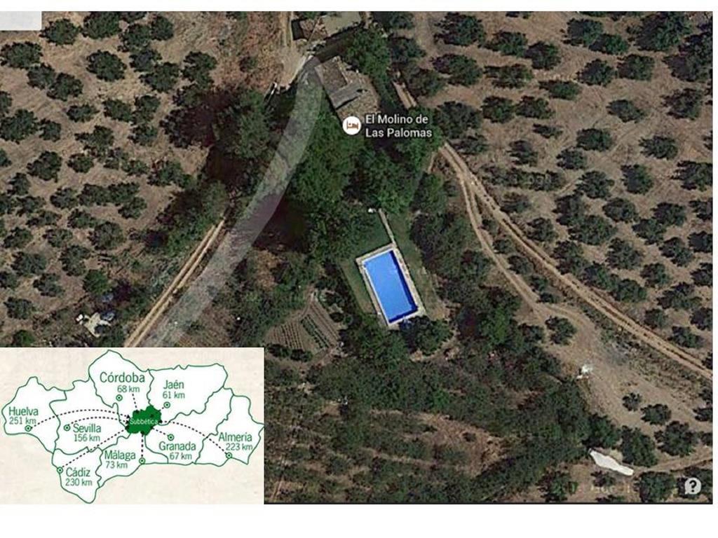 El Molino De Las Palomas Carcabuey Εξωτερικό φωτογραφία